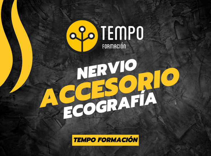 nervio-accesorio-y-ecografia